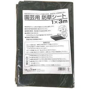 AXg hV[g O[ 1×3m sDz   UVόܔz ϋv 602-27 