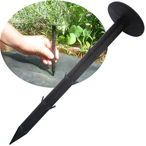 AXg hV[g Œs ubN 120{g s Œp ɂ yO B |  K[fjO 602-43 