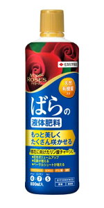 ZFw| 엿 }C[Y΂̉t̔엿 800ml o KN L@ y 