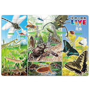 e[(Tenyo) y{z `ChpY } iw̐}LIVEj 60s[X ǂ Ȋw`Ch MC-6 