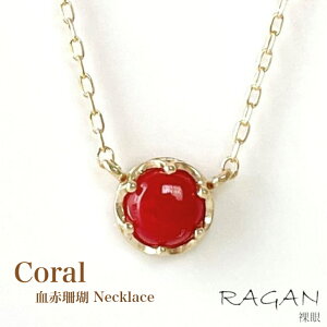 K10 ԎX Y NE lbNX 10 mY VR  R[ TS  y_g WG[ CG[S[h fB[X Vv ݊ Y i lC a 3