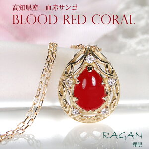 K18 VR ԎX _Ch lbNX y_g 18 K18 CG[S[h yAVFCv hbv LO j җ Mtg v[g K^  J^ A~bg  Y 