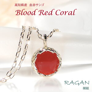 K18YG VR ԎX lbNX y_g 18 K18 CG[S[h S[h LO j җ Mtg v[g K^  J^ A~bg  Y X TS R[ H 