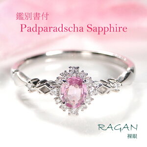 ySS20%OFFN[|zyʌzyӕʏtzPt900 pp`ATt@CA & _Ch O WG[ Tt@CA pp` w v`i Mtg { 9 4a v[