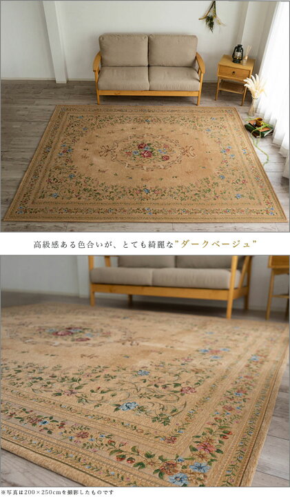 楽天市場】【開始2H限定！7％OFFクーポン】 ゴブラン織 ラグ 