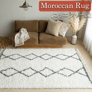 y11/1Iő1,000~OFFN[|z ANZgO xj  EBgD bJ 80×150 O O~ zCg N[ O[ _[NO[ O}bg k 􉽊w Ђ` Vv