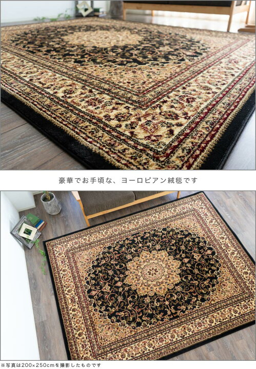 楽天市場】【開始2H限定！7％OFFクーポン】 ラグ 絨毯 ブラック 黒 直 