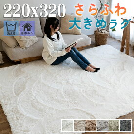 【ラスト20H限定！5%OFFクーポン】 ラグ 洗える 6畳弱 ラグマット 220×320 サラふわ カーペット リビング 無地 絨毯 北欧 おしゃれ じゅうたん かわいい シャギーラグ 洗えるカーペット ホワイト ブラック グレー 白 黒 洗濯 長方形