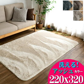 【開始2H限定！7％OFFクーポン】 ラグ 洗える 約 6畳 弱 ラグマット 220×320 大きめ カーペット リビング 無地 絨毯 北欧 おしゃれ 絨毯 じゅうたん かわいい シャギー 韓国 インテリア ホットカーペット対応 オールシーズン 滑り止め 毛足 短い 洗濯 長方形