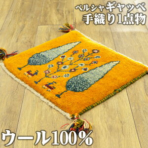 ギャッベ 座布団 ペルシャ マット かわいい 約 40x40cm 手織り ギャベ チェアパッド ギャッペ 四角 小さめ 玄関マット おしゃれ 絨毯 ラグ じゅうたん 天然素材 ウール 風水 ラグマット イラン