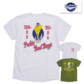 バズリクソンズ BUZZ RICKSONS Tシャツ BR79261 508th BOMB SQ コットン TEE 半袖 プリント カットソー バインダーネック 丸胴ボディ USA製 空軍 第508爆撃飛行隊 エンブレムミリタリー ヴィンテージ アメカジ 東洋エンタープライズ メンズ 2023年 春夏 新作