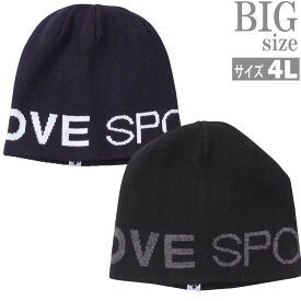 ニットキャップ DESCENTE デサント 大きいサイズ メンズ ニット帽 帽子 ブランド ロゴプリント C040930-06