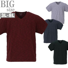 VネックTシャツ 大きいサイズ メンズ ミックス杢 オーガニックコットン サスティナブル 半袖 C050226-02