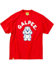 �v�����gT�V���c �K���t�B GALFY �傫���T�C�Y �����Y GALPEE �h�b�O �� �g�b�v�X C070315-01
