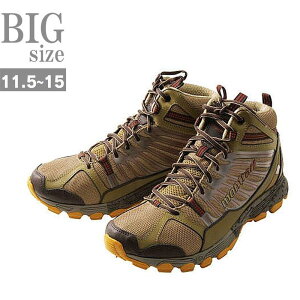 傫TCY gbLO V[Y Y h Ռz AEghAV[Y C291109-11