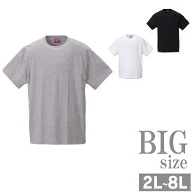 クルーネックTシャツ 大きいサイズ メンズ 2枚セット Levi's リーバイス C300725-14