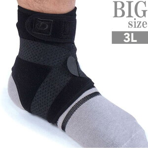 3LTCY T|[^[ 傫TCY p ⏕xg ANA`^ bNX Ep C010204-02