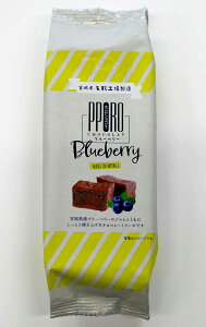 yOmIz |VR u[x[ `RP[L u[x[ Ă 5Jbg X yYَq XC[c fU[g ĉَq mَq Mtg v[g p 蕨  