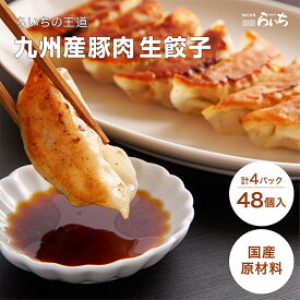 手作り 九州産豚肉 餃子 48個 12個×4 送料無料 一口餃子 山口県 ブランド 国産野菜 国内製造 こだわりの 化学調味料 不使用 合成保存料 無添加 生餃子 ギフト プレゼント ギョーザ ぎょうざ ギョウザ おかず お弁当 冷凍食品 お取り寄せ パーティー