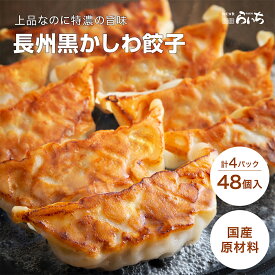 【今だけ ポイント10倍】長州黒かしわ 餃子 48個 地鶏 鶏餃子 12個×4 送料無料 一口餃子 山口県 ブランド 国産野菜 国内製造 こだわりの 化学調味料 不使用 合成保存料 無添加 生餃子 ギフト プレゼント ギョーザ ぎょうざ ギョウザ おかず お弁当 冷凍食品 お取り寄せ