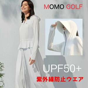 ACX Oh~ fB[X N[ StEGA Ă~