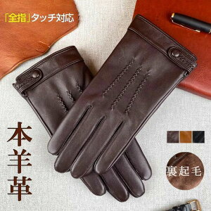 U[ V[vXL  {v O[u jp Y v