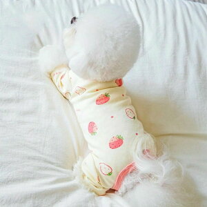 �p�W���} ���t�� �p��E�F�A ���� ���p�p�㕞 ������� �p�㒅