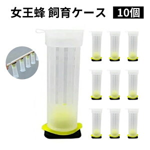 キャッチ 養蜂用 みつばち賢い魅力 蜜蜂 巣箱 養蜂装置 飼育 ミツバチ 蜜蜂 蜜蜂を収集する装置 ミツバチ飼育器 10個 飼育ケース