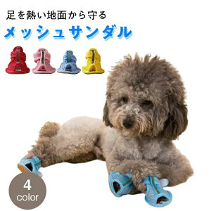 h~ V[Y ̌C hbOV[Y pC  T_ bV sS  ~ ʋC ₷ EȂ C