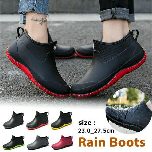 h jp V[g h _ | ʋ o[V[Y JC Sh ~J AEghA Cu[c Y fB[X