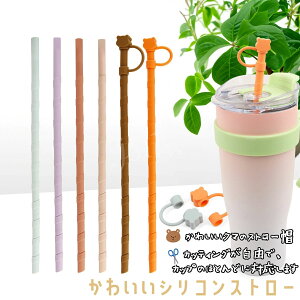 O Xg[Lbv ܌^Xg[ LN^[   gѕ֗Xg[ HiO[h 킢܃Xg[wbh