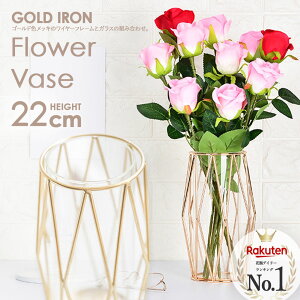 S[h  KX k Ԃт t[x[X ֑}