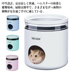 Ђ pnEX  nX^[ u₩ nX^[ ΍