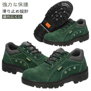 SX jp ~ ʋC ܐی |c ƌC [Nu[c Z[teB[V[Y fB[X Y Xj[J[