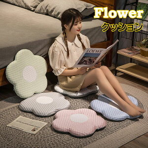 q wp  Sn ʃNbV `FApbh  ʋC ڐG⊴ ėp zc V[gNbV킢