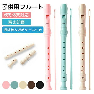 Jt Kp  ct ۈ牀 w ߂ ߋ y y S 8 6 |_t y LbY  t[g