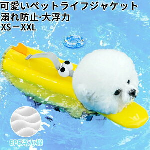  Q  C V S S A^ ^ ^  ybgp p CtWPbg ybg CtWPbg
