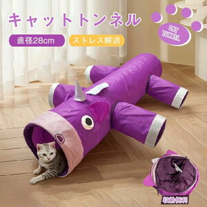  RpNg IV 6a28CM Lbggl sJsJ 킢 ߋlCLbgglL̂pt