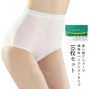  10Zbg ĝăV[c  fB[X ĝ