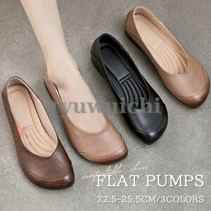  RtH[g EȂ 傫TCY tbgV[Y ؂ [q[ _炩 ɂȂ L  C O