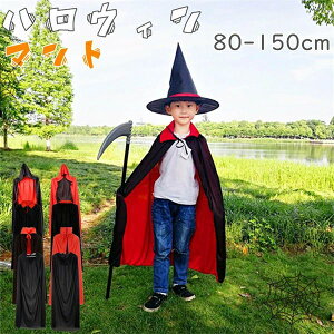  j̎q opCA @g hL zS RX`[ `[ c q jpzLbY qǂ }g nEB