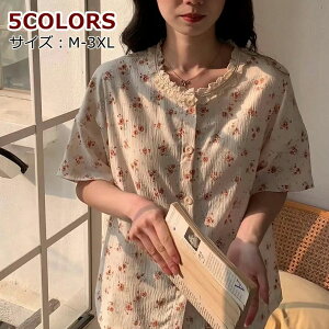 pW} bNX 5L yA K[[pW} 炩 90cm qǂ 3L @ LbY Q M  fB[X [EFA