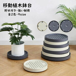 360°]LX v[g g[ v^[pM LX^[ u t[X^h u  tړԑ