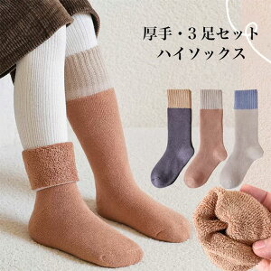 q \bNX 3Zbg C j̎q ̎q nC\bNX 