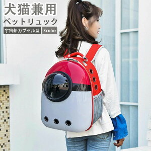 y ybgL[obO bN^ybgL[ Lp Lp p FDJvZ^ybgobO ybgpL[obO