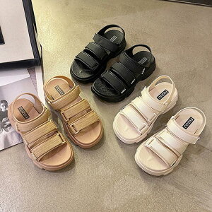 EH[LOV[Y ʋC y V[Y fB[X bVT_ xN X|[c