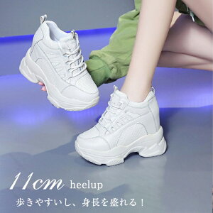 gAb C\[  V[NbgXj[J[ V[NbgC V[NbgV[Y _bhV[Y _bh fB[X