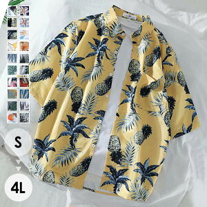 nC 傫TCY ĕ ][gVc nCrXJX {^jJ Vc h  fB[X Y AnVc 40F