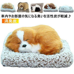 J[pi imL Y |Y LY  y LY ʂ Aj} ԓp ԗpL l` EL 