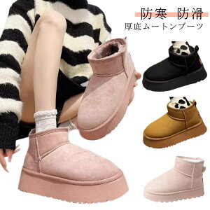 C GRt@[ _炩 {A  g h Xm[u[c ɂȂ h  V[gu[c u[c fB[X 